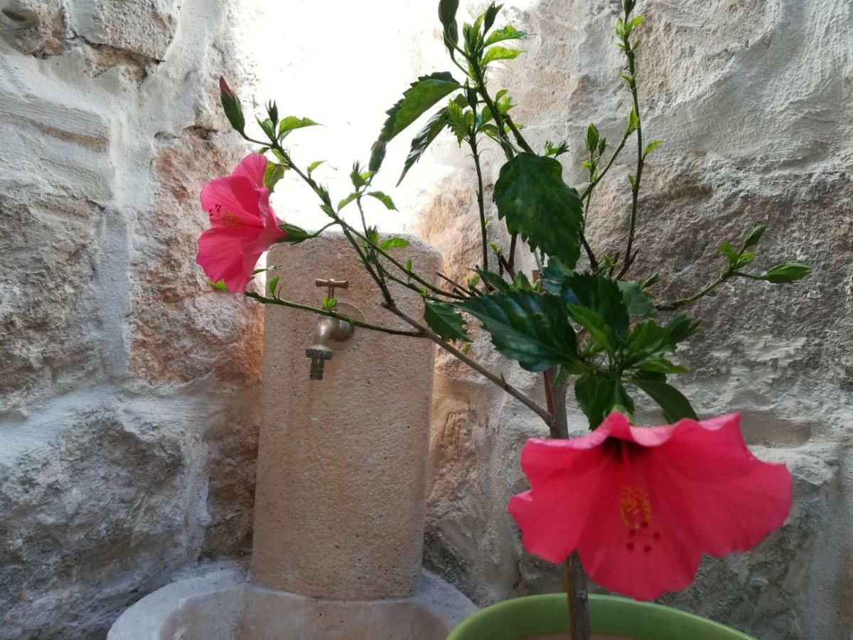 Marene Residence سيراكوزا المظهر الخارجي الصورة